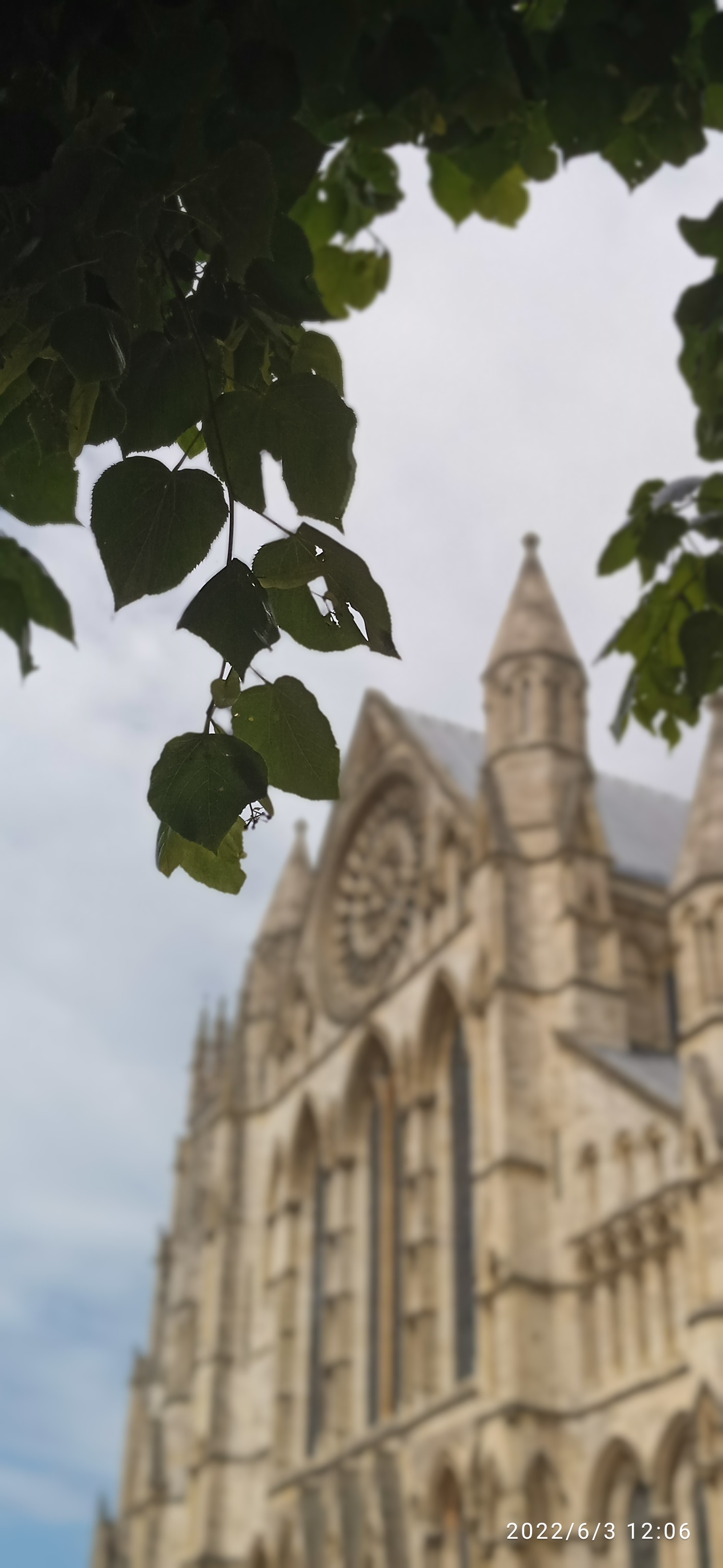 Close-up architectural detail of stonework beneath a tree canopy